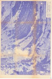 ["The document provides a comprehensive overview of the project, including detailed maps and step-by-step progression. It also includes specific information on the resources used, the timelines followed, and the objectives achieved."]