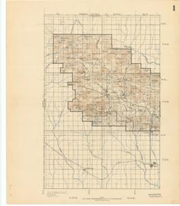 ["Create a concise and logical summary using the title Topographical Map by Government Land Office and the text: This topographical map, produced by the Government Land Office, includes a drawing on the back depicting Lake Lawton and its surrounding area, which aligns with the annotations on the map itself.  Dimensions: Not specified."]