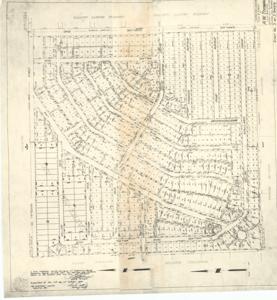 ["Create a concise and logical summary: This site plan, created by R.W. Thomas, measures 22 1/4 inches by 23 1/4 inches."]
