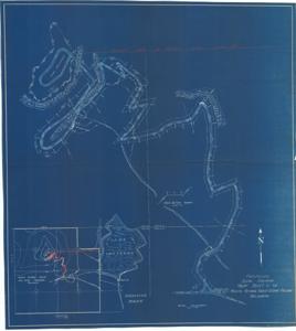 ["Blueprint: This document illustrates the elevation, topography, and planned developments for the National Forest and Preserve. Dimensions: 36 x 40 1/4."]