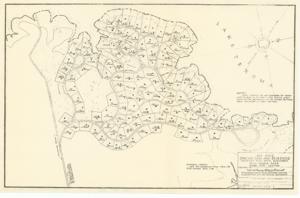 ["The document represents a plan item is a plan of 118 lots for the home sites area Mill Creek, which is located on the southern coast of Lake Texoma. Lots (land; diazotype, blackline print); 10 1/2 x 16 3/16 inches; R-V22-4/5.2."]